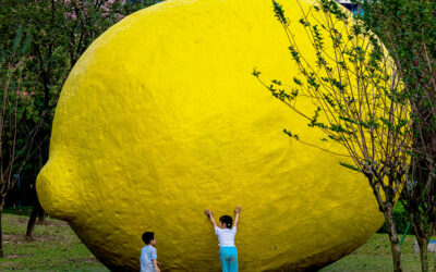 Comment optimiser les images pour votre site ?